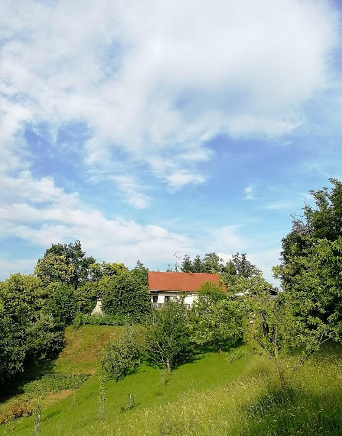 Celinka Rooms Raka Екстер'єр фото